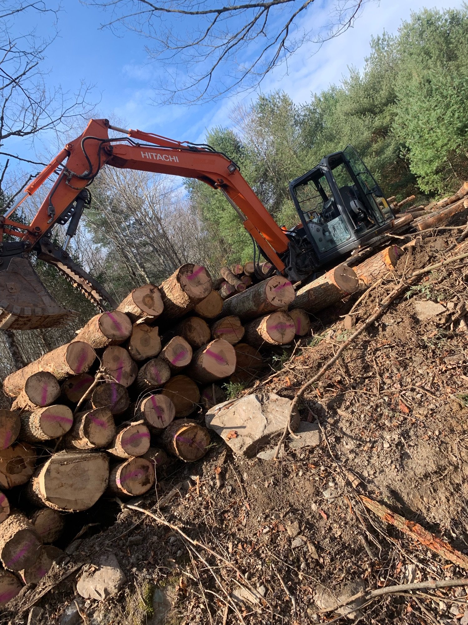 Crawson Logging & Land Clearing Logo