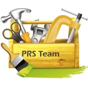 Prorenoserv Team Logo