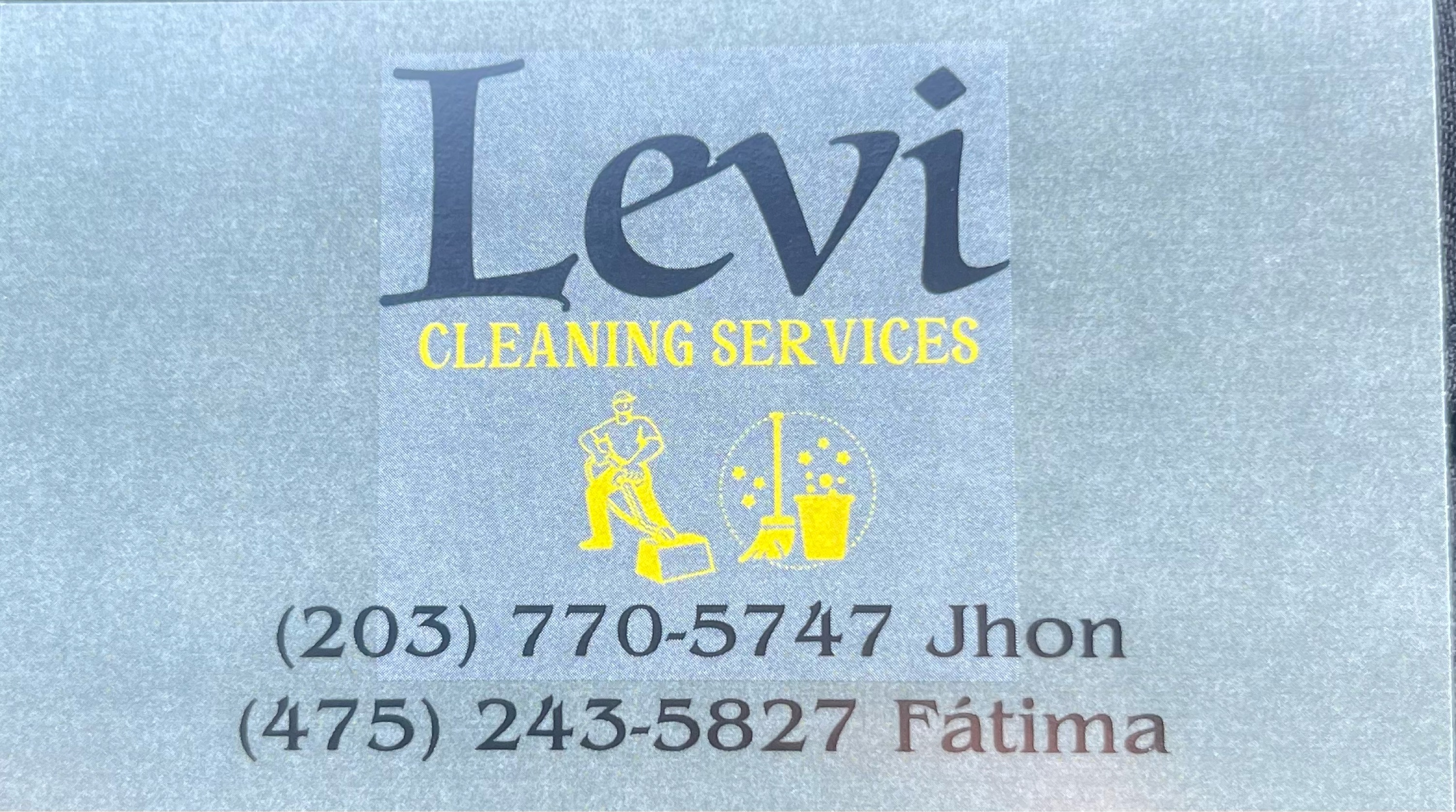 LEVI CLEANING SERVICES LLC Logo