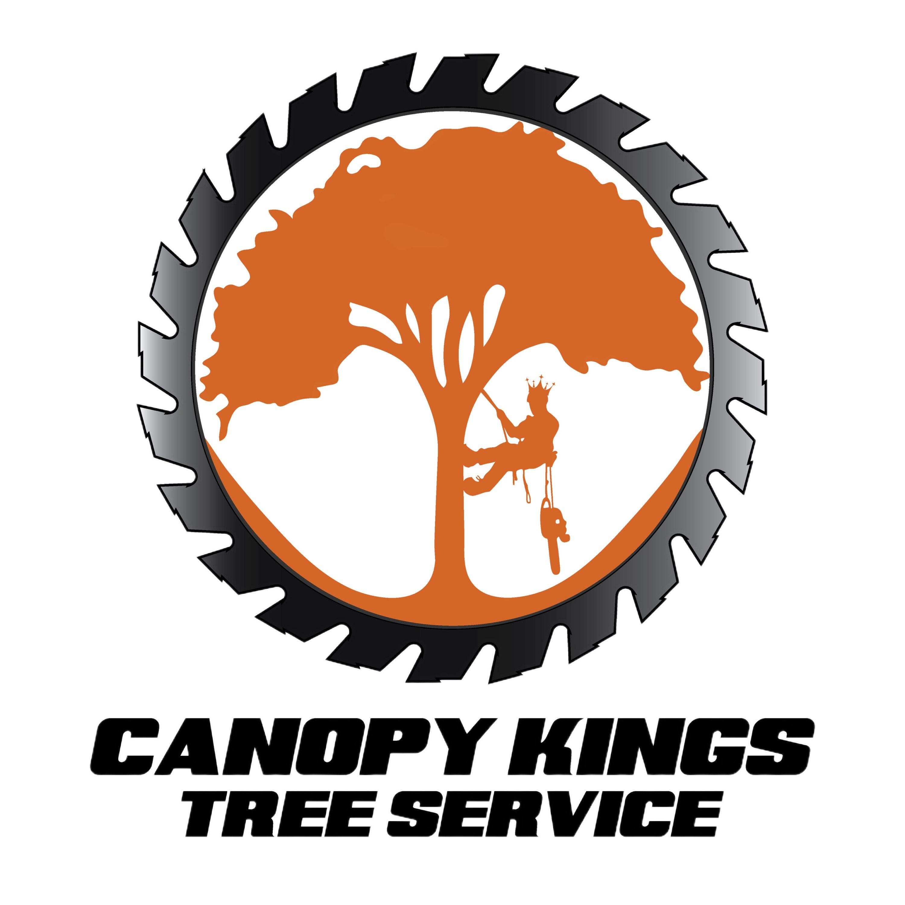 Canopy Kings Tree Service LLC Logo