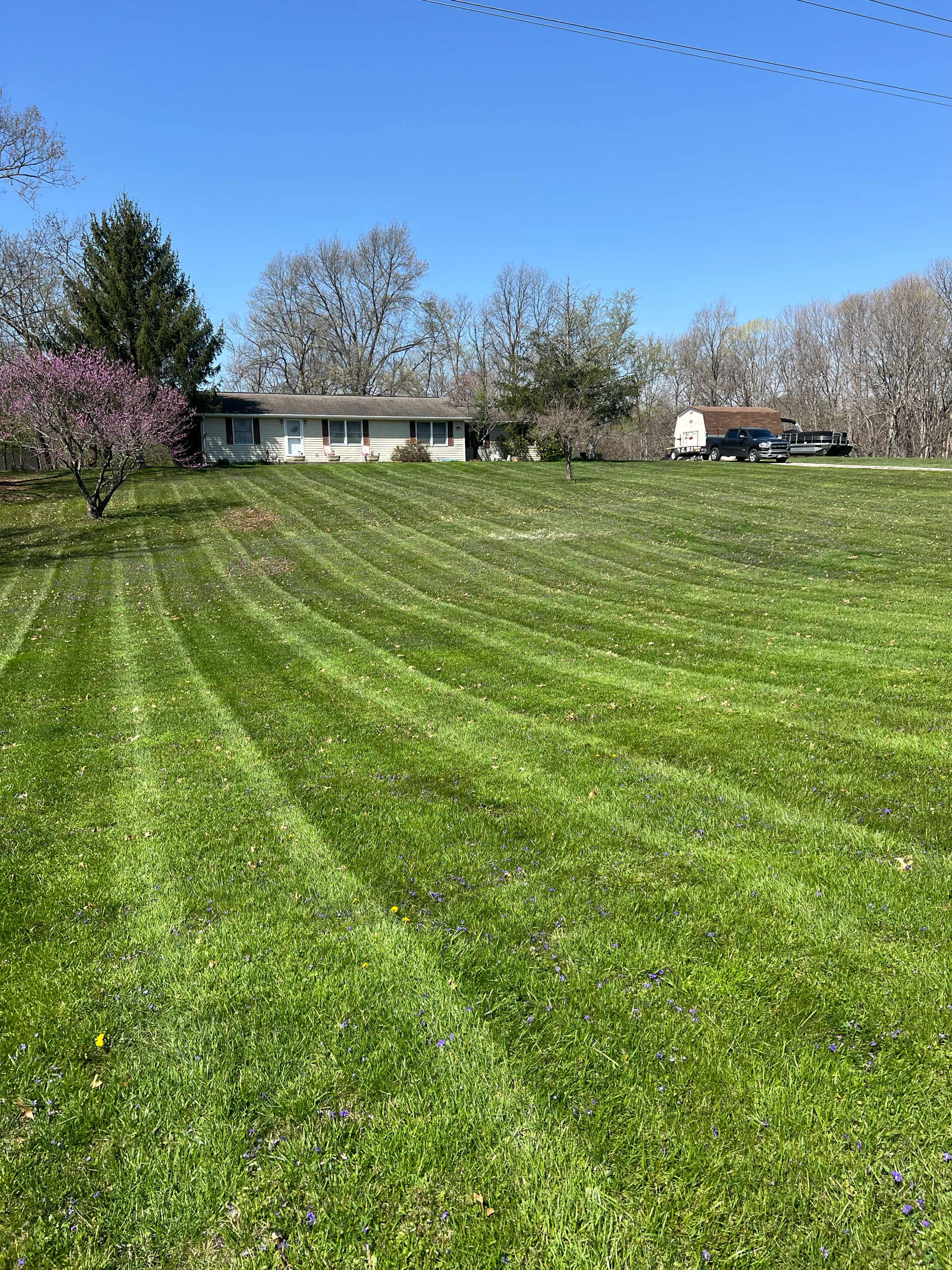 ARNIE'S LAWN CARE & LANDSCAPEING LLC Logo