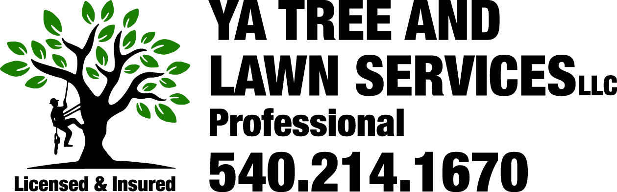 Ya Tree and Lawn Services LLC Logo