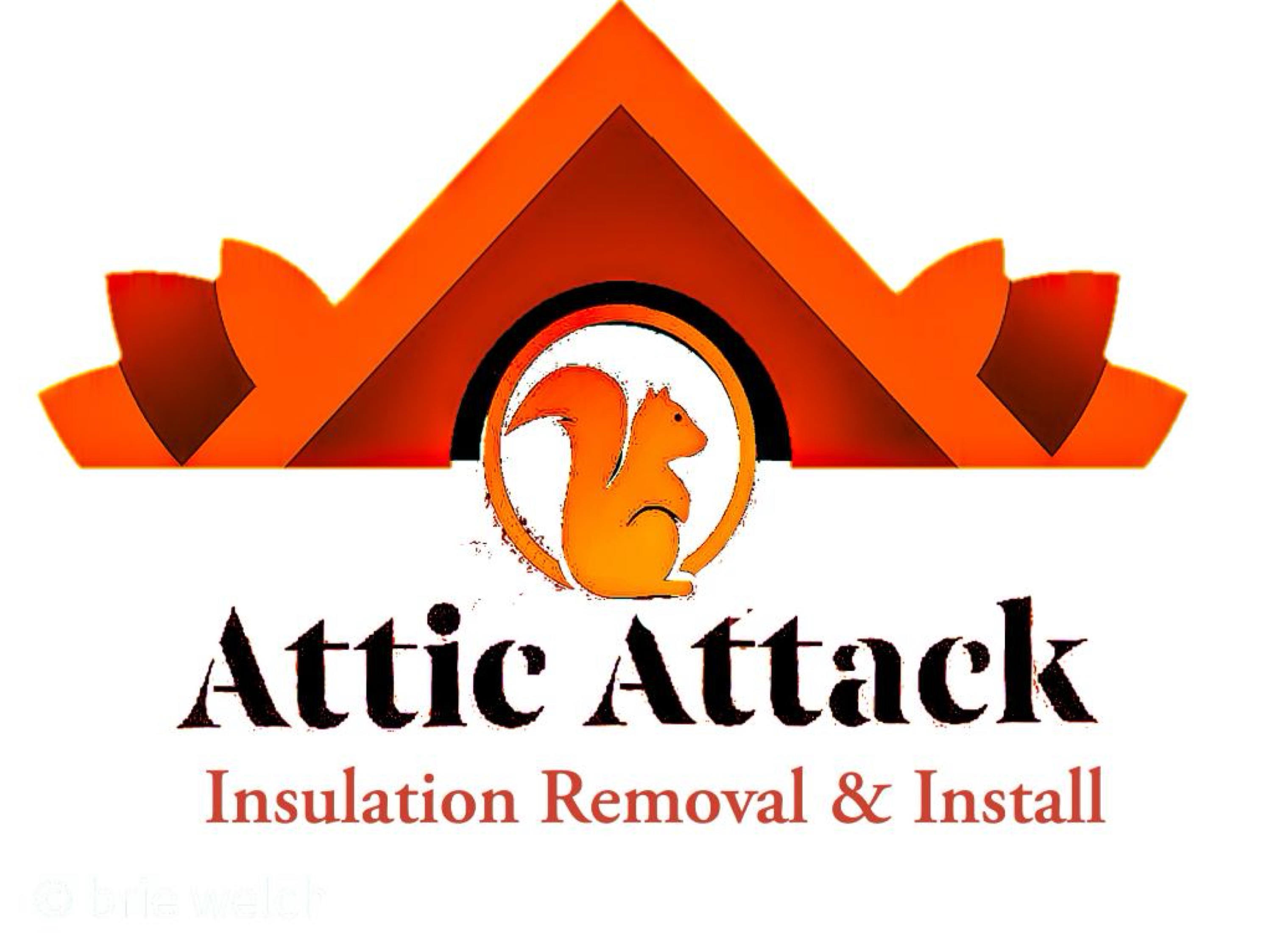 Attic Attack LLC Logo