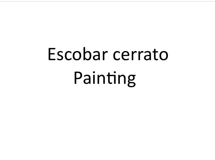 Escobar Cerrato Painting Logo