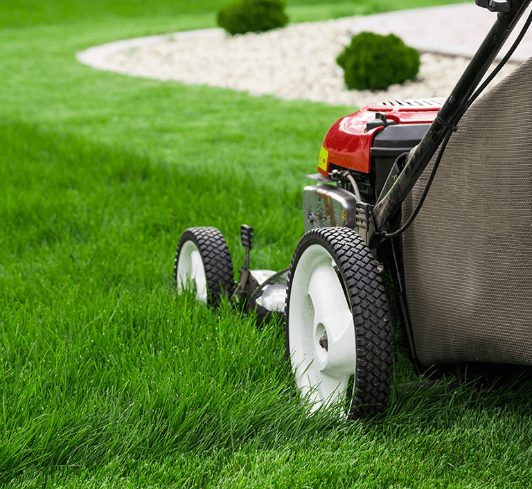 Moreland Lawn & Landscape Logo