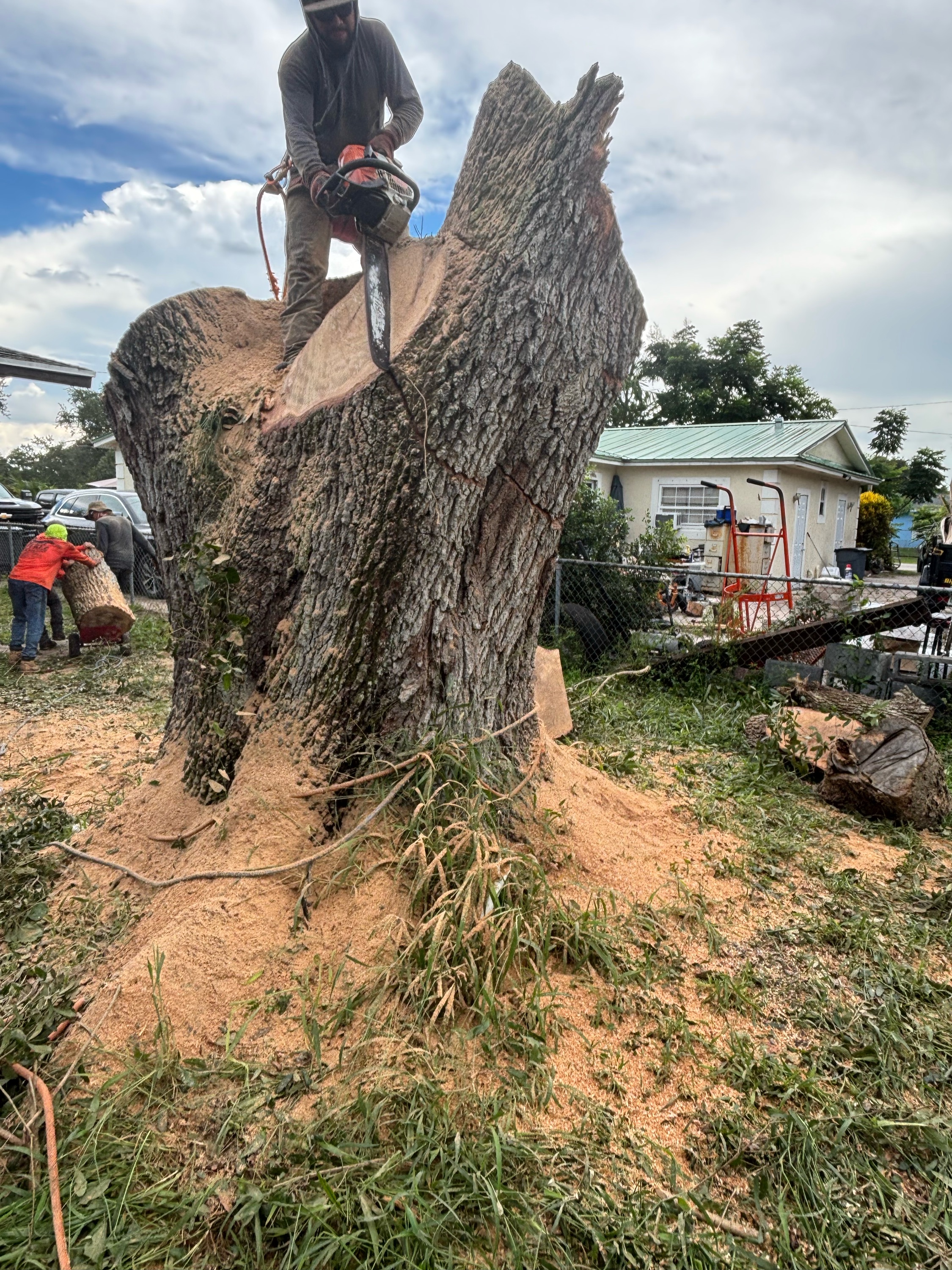 Yovanny Perez Landscape & Tree Service Logo