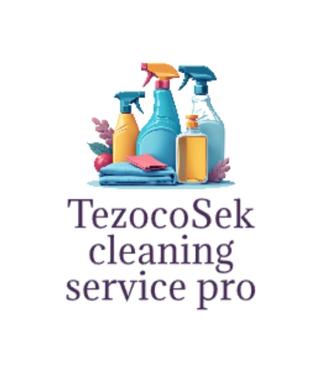 TezocoSek Cleaning Service Pro LLC Logo