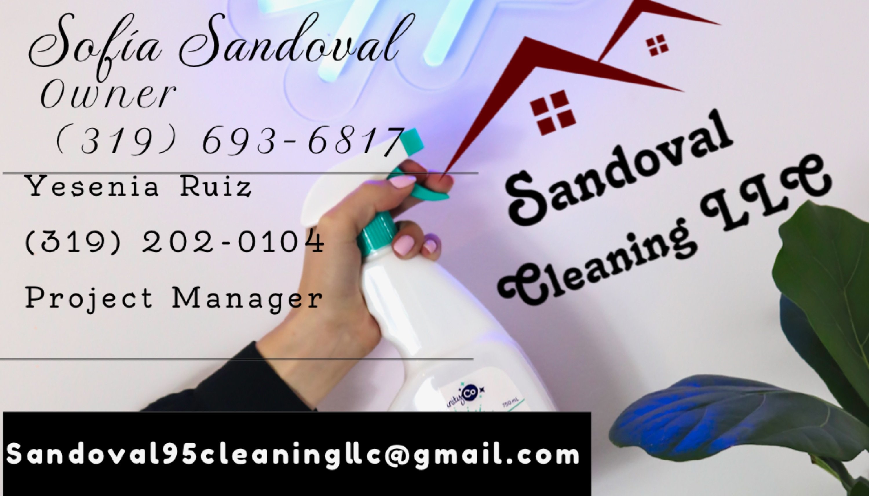 Sandoval Cleaning Logo