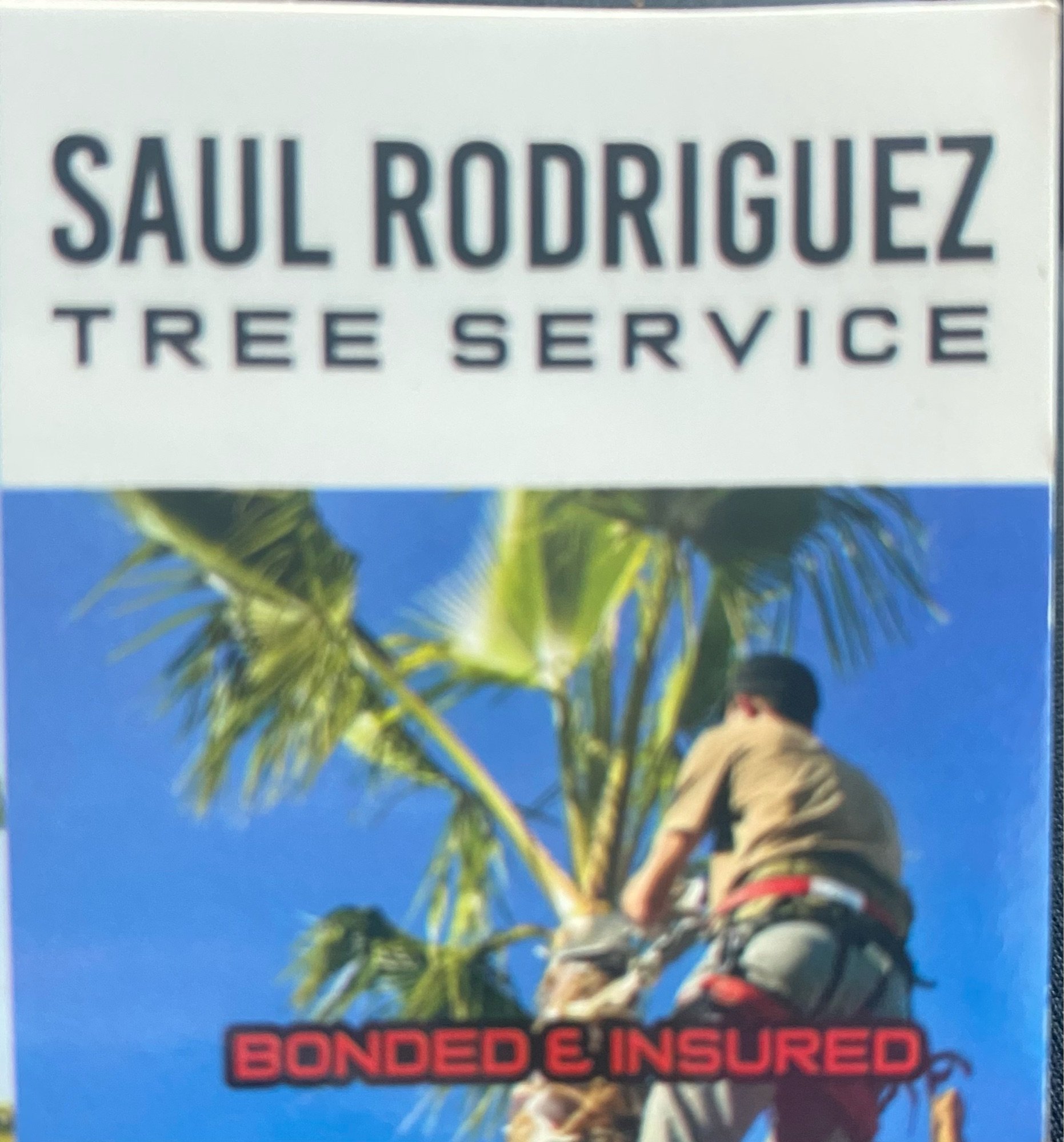 Saul Rodriguez Tree Service Logo