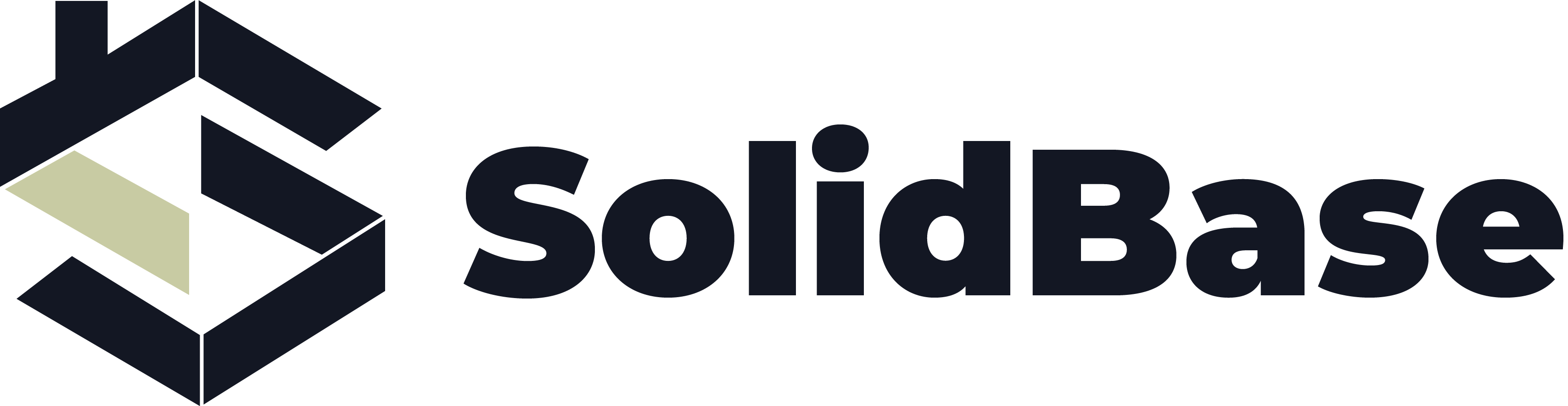 SOLIDBASE FOUNDATION REPAIR Logo