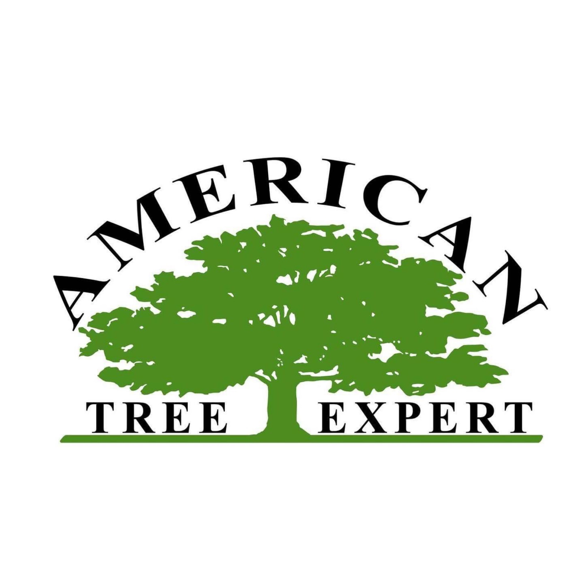 AMERICAN TREE EXPERT SERVICES Logo