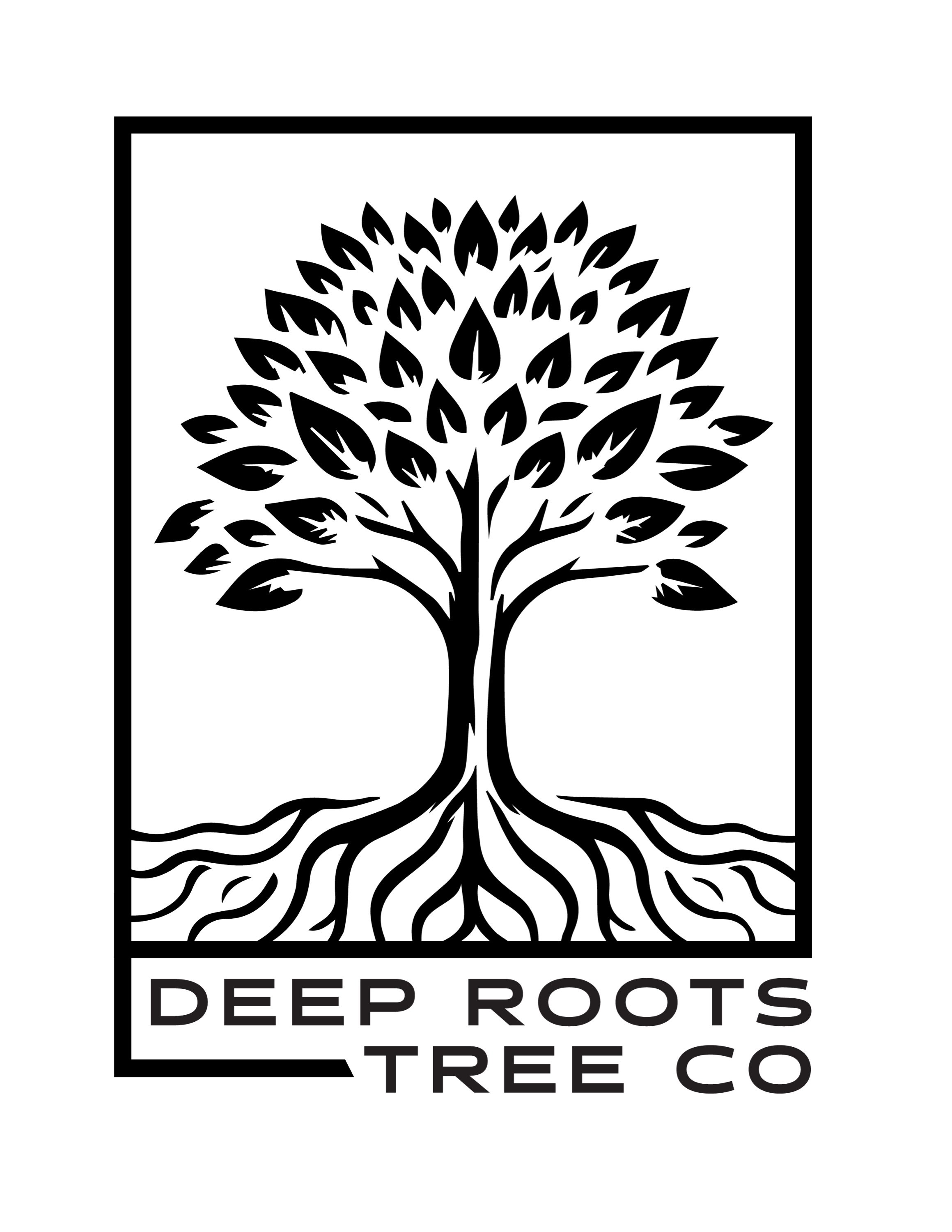 Deep Roots Tree Co. Logo