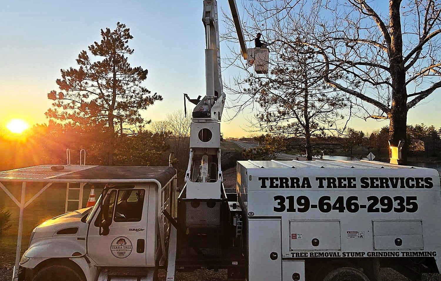 Terra Tree Services Logo