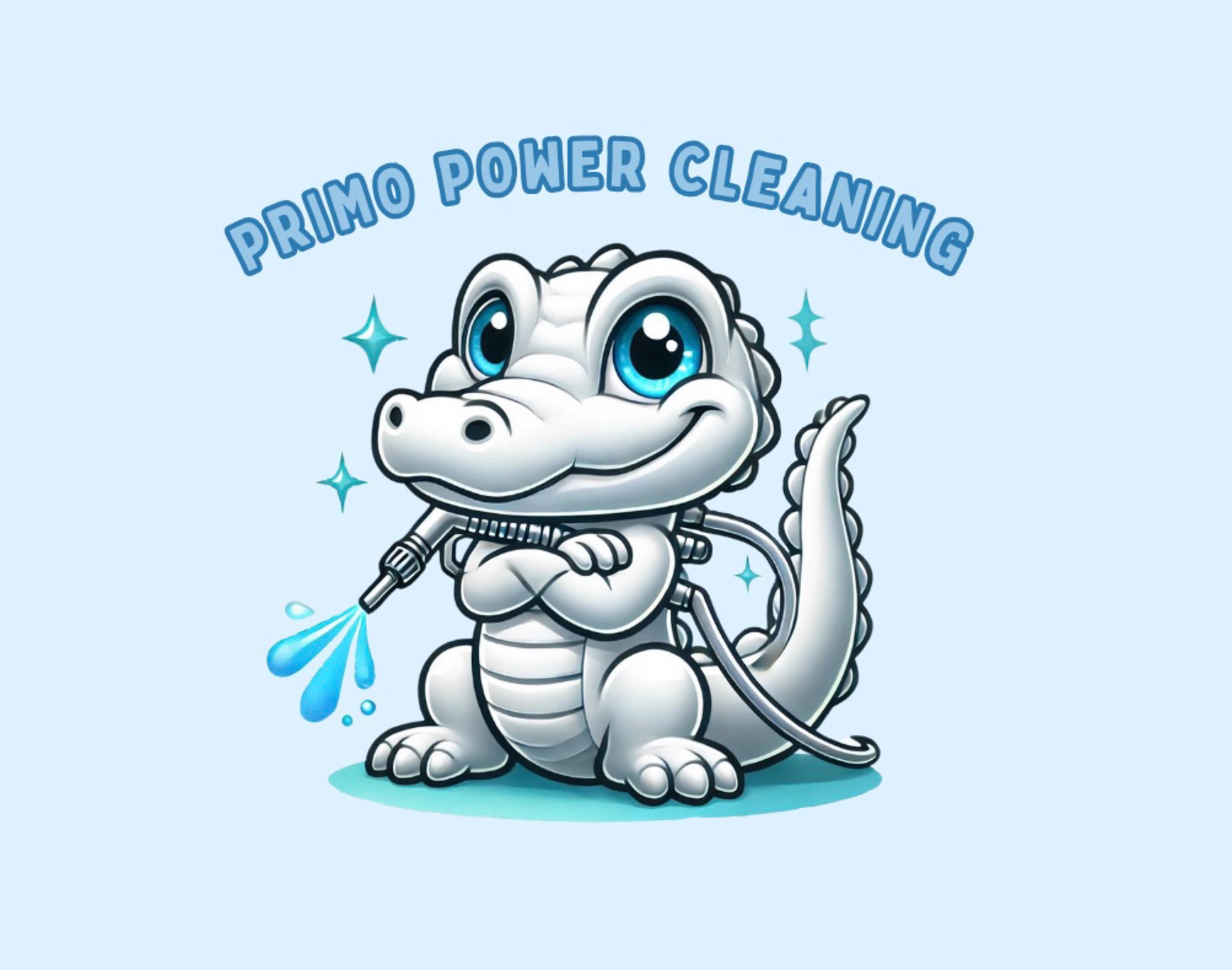 Primo Power Cleaning Logo