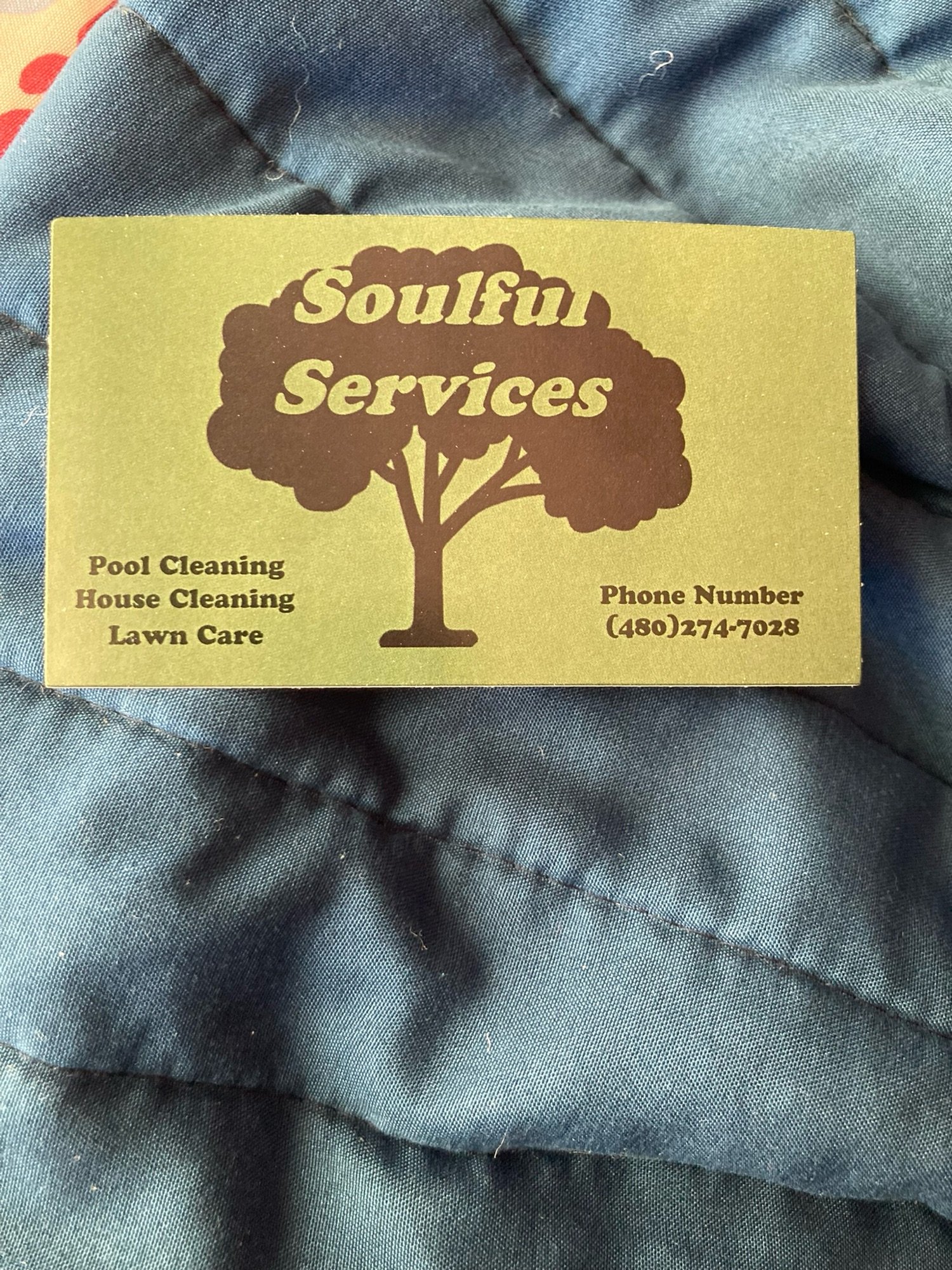 soulful Servies Logo