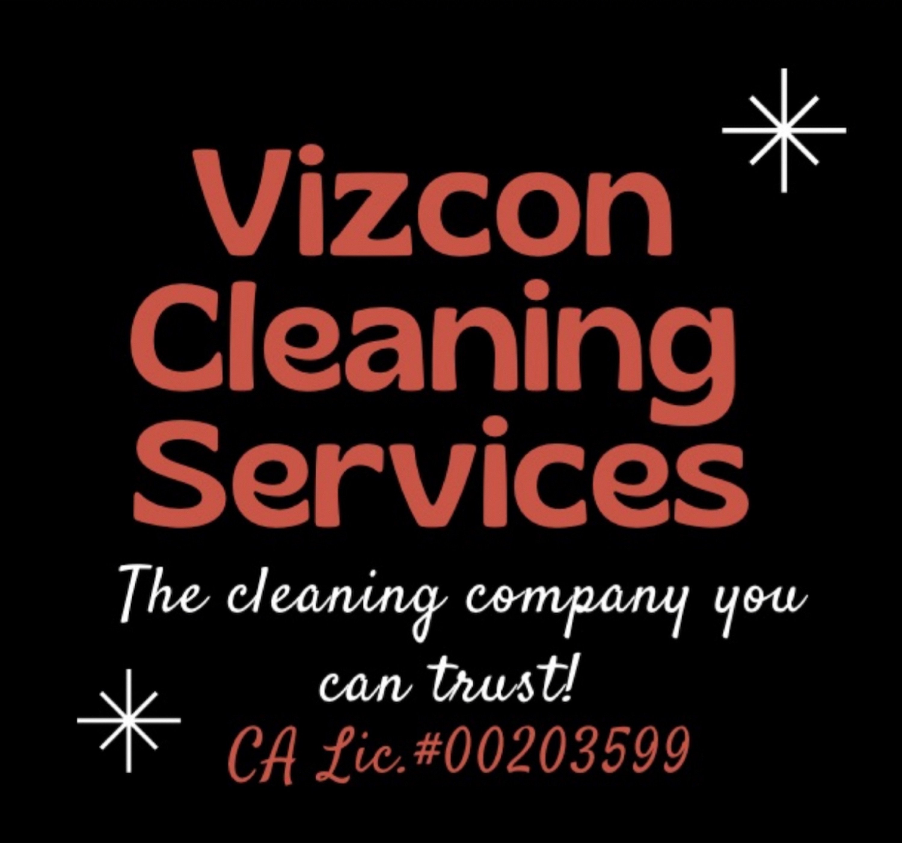 Vizcon Cleaning Services Logo