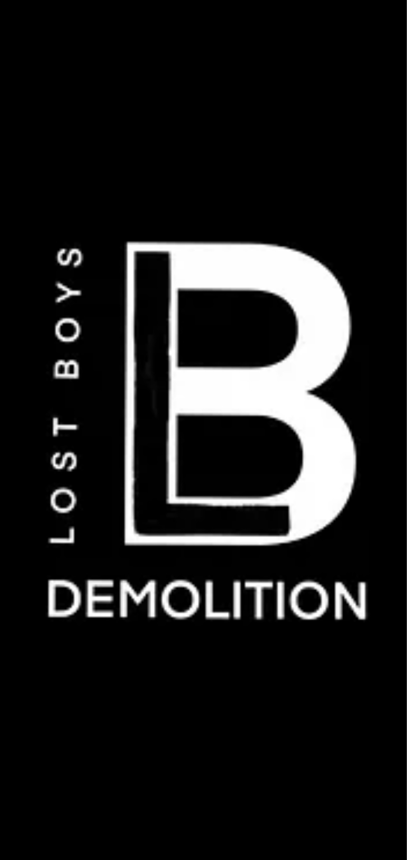 Lost Boys Demolition and Junk Removal LLC Logo