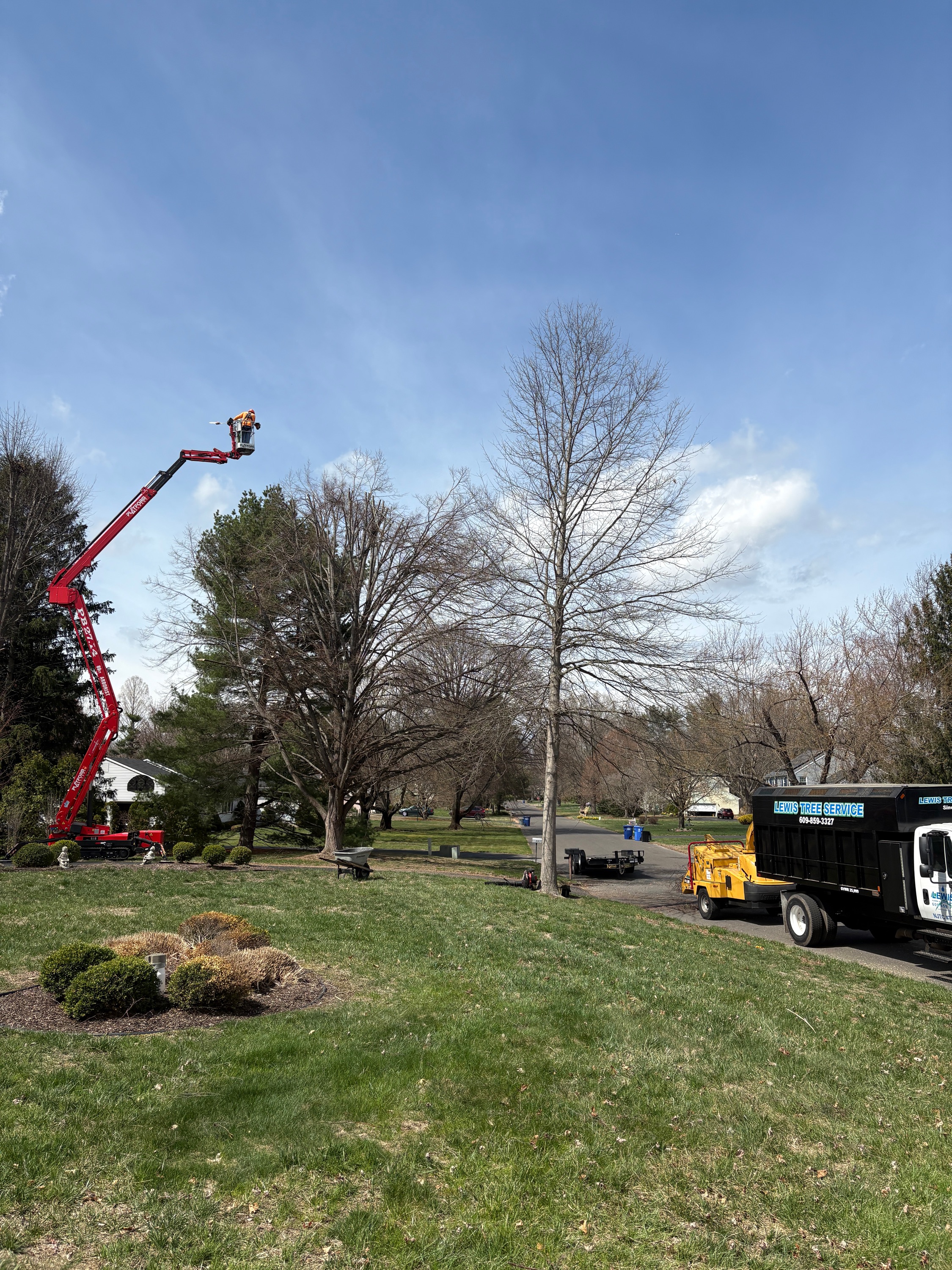 Lewis Lawn & Tree Service LLC Logo