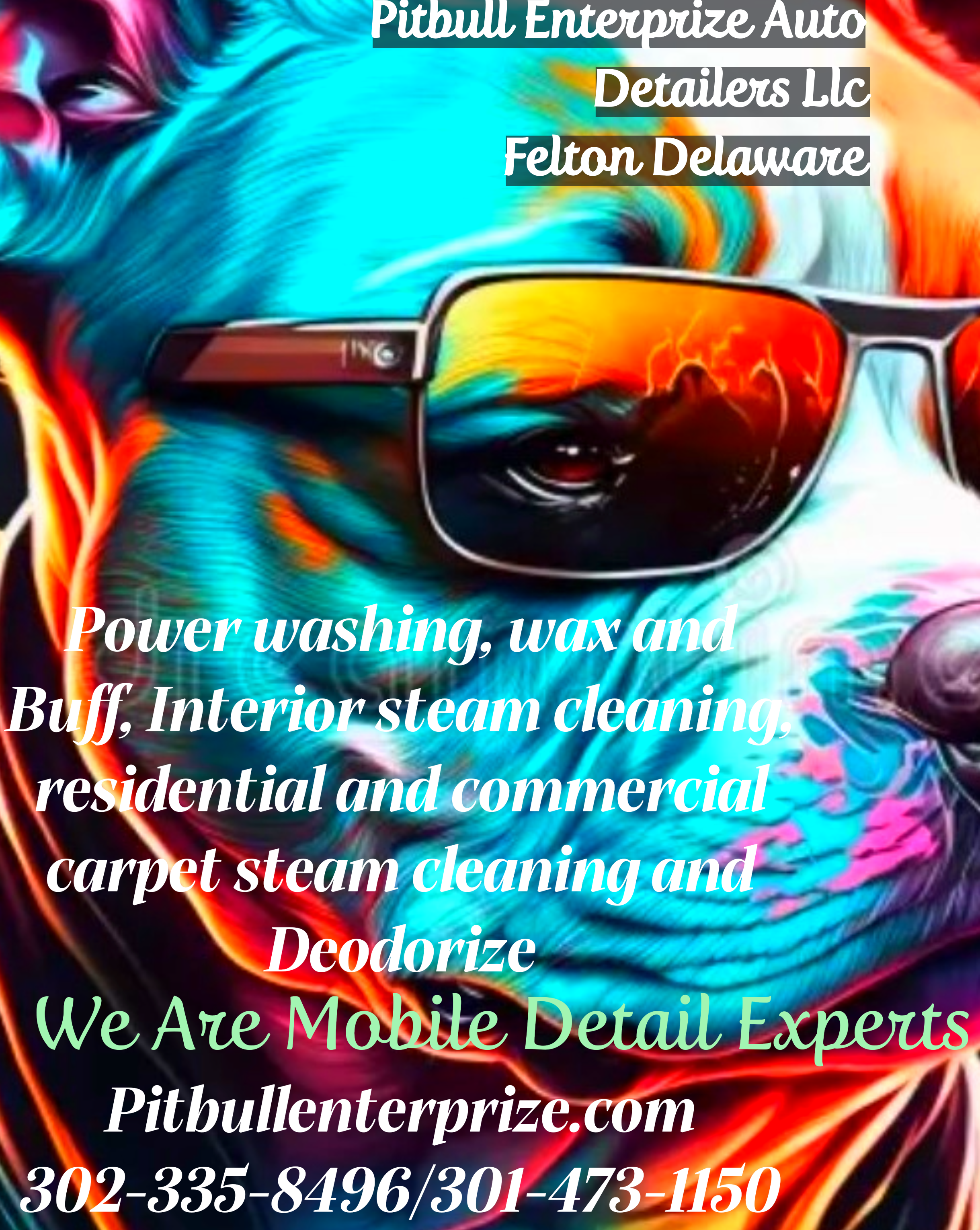 Pit Bull Enterprize Carpet Cleaning and  Auto Detailing Logo