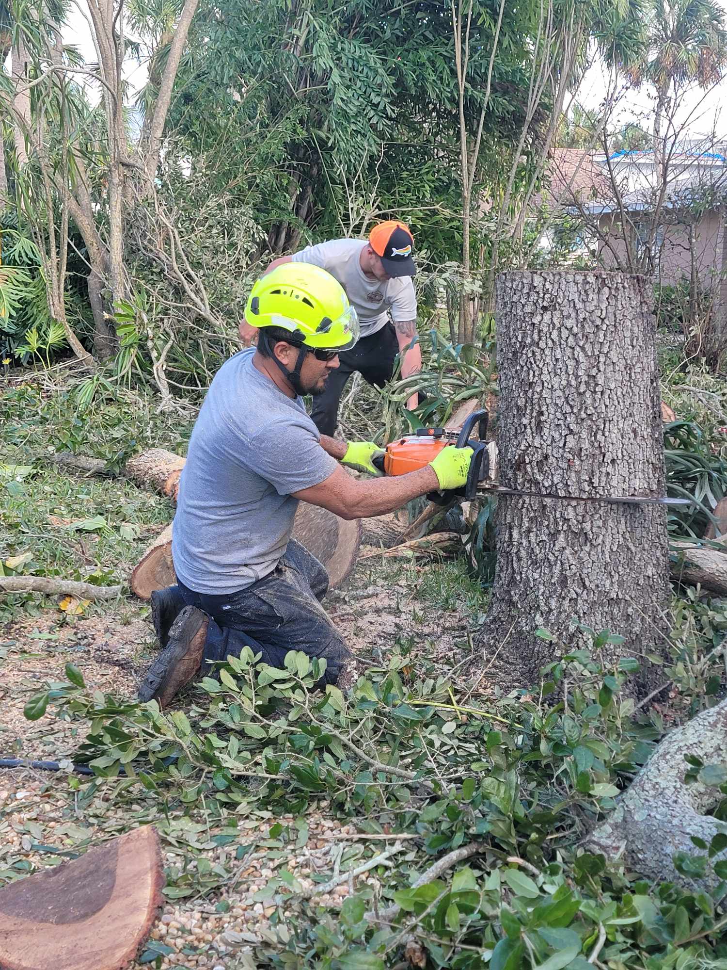 Tropical Tree Service & Landscaping LLC Logo