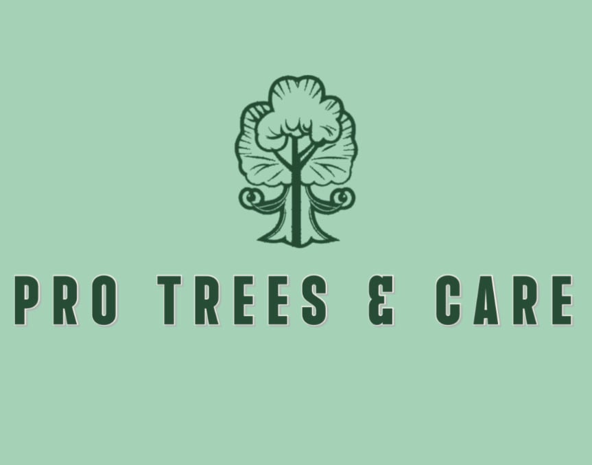 Pro Trees and Care Logo