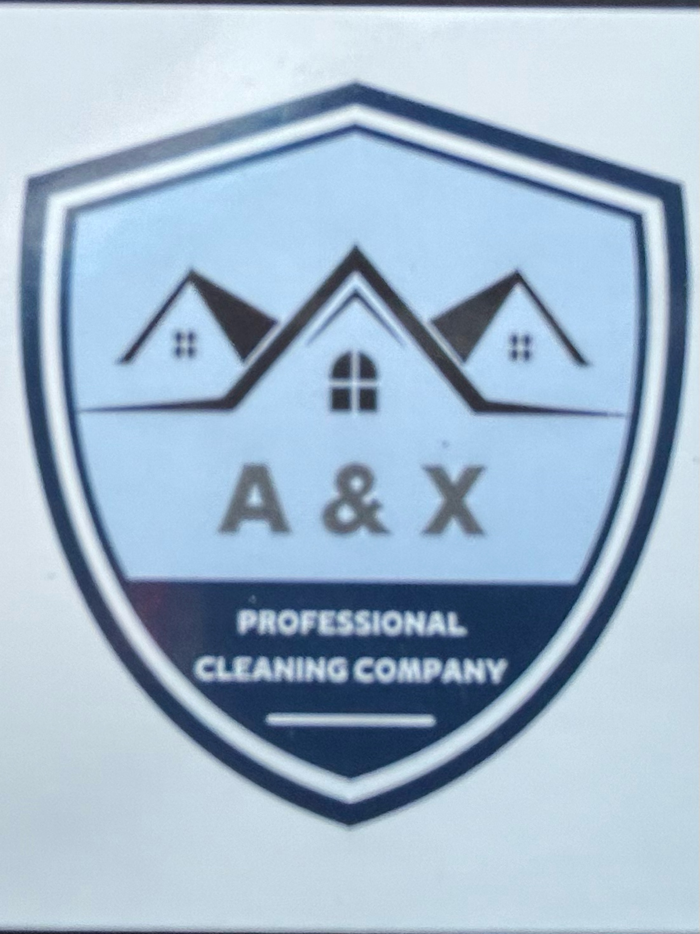 A & X Professional Cleaning Company, LLC Logo