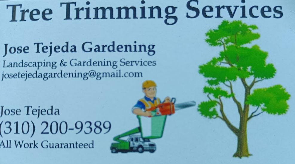 Tejeda Tree Service, Inc. - Unlicensed Contractor Logo