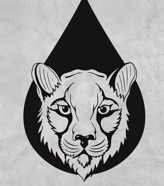 MOUNTAIN LION PAINTING LLC Logo