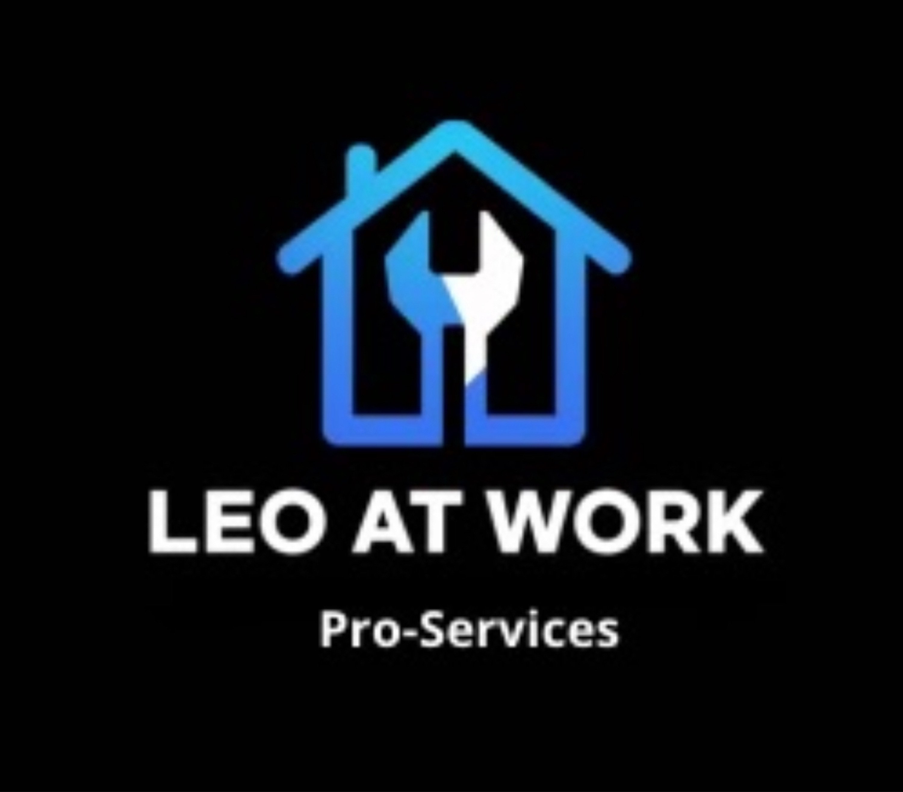 LEO AT WORKS PRO-SERVICES INVESTMENT, LLC. Logo