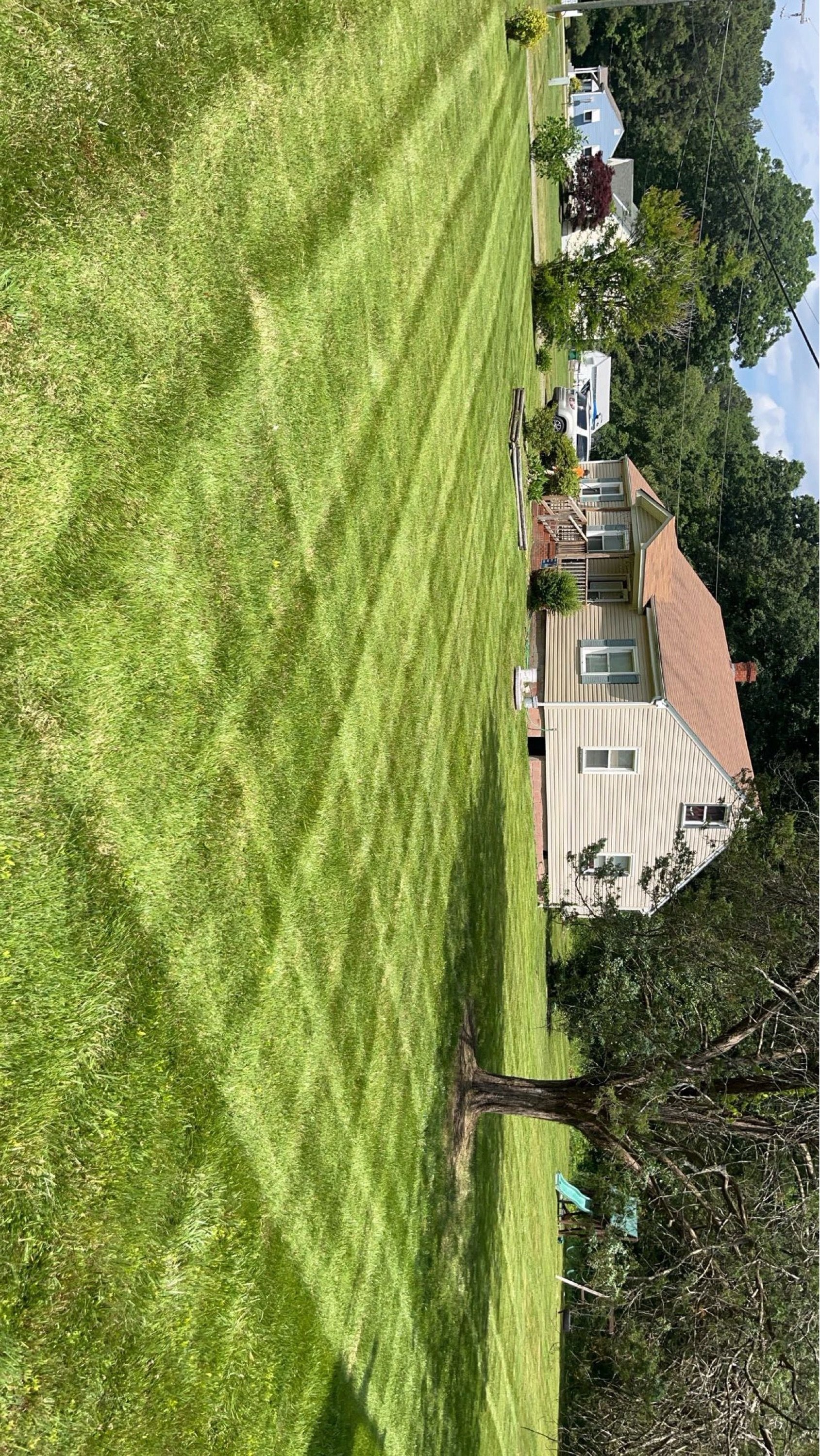 Macon's Lawn Care Logo