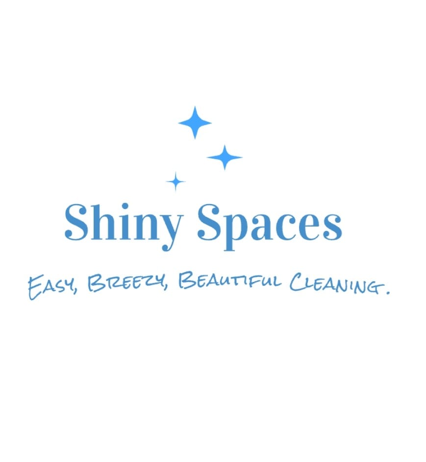 Shiny Spaces Logo