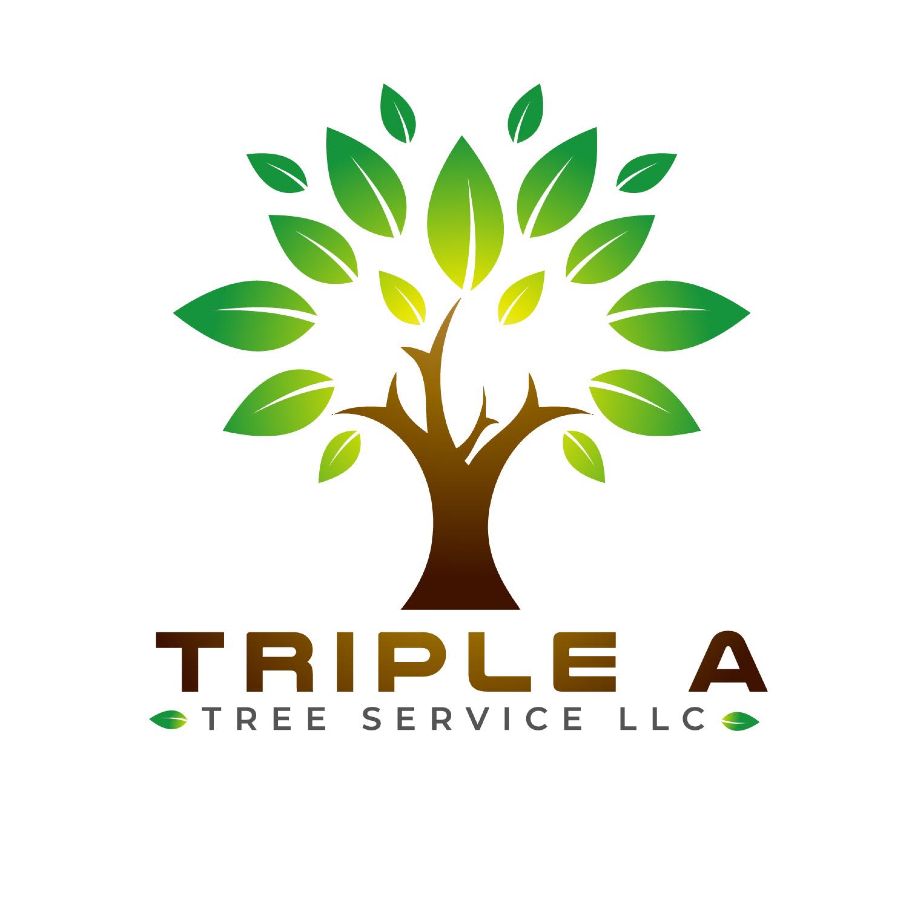 TRIPLE A TREE SERVICE LLC Logo