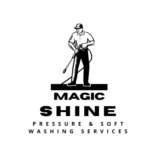 Magic Shine Logo