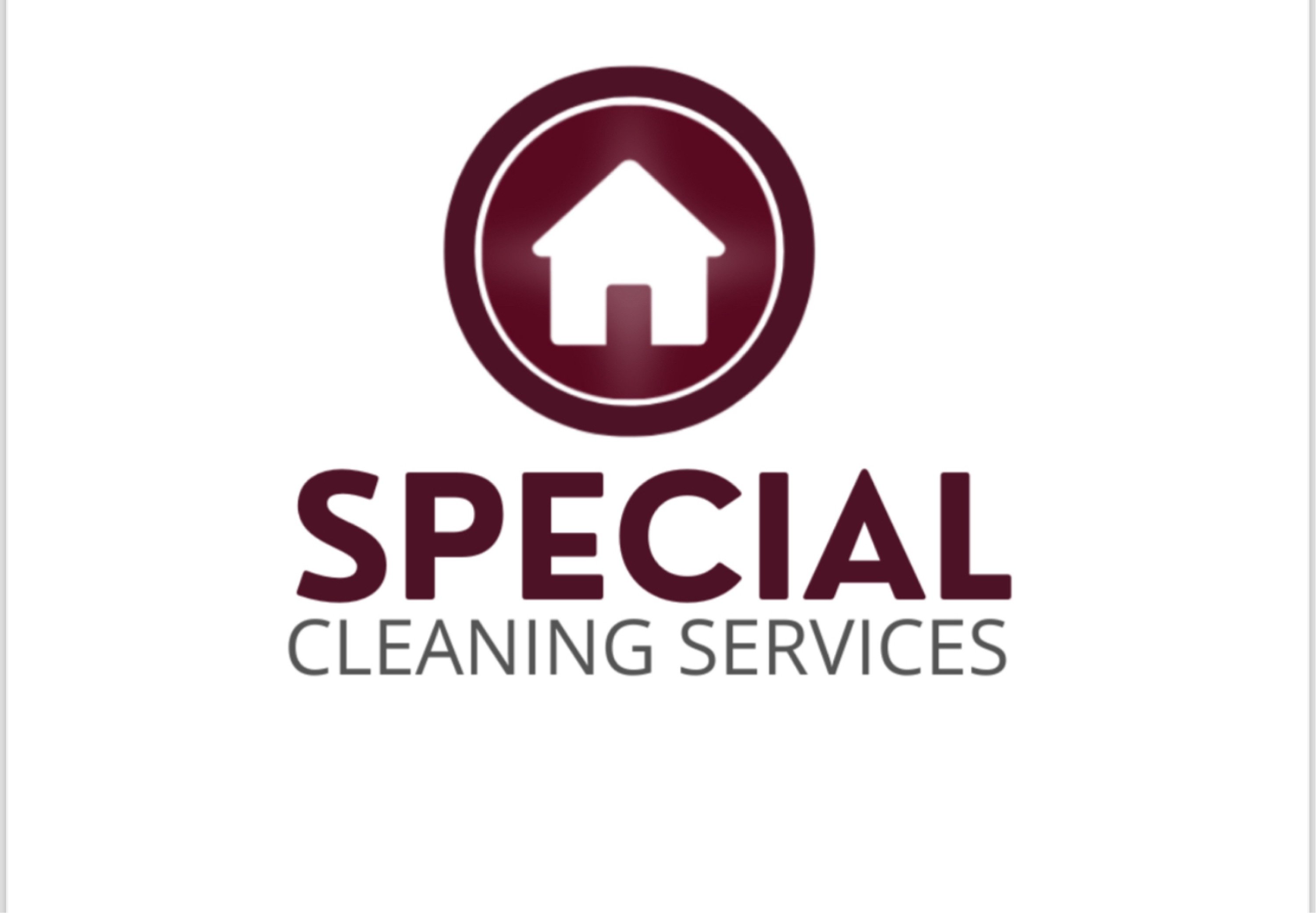 Special Cleaning Services Logo