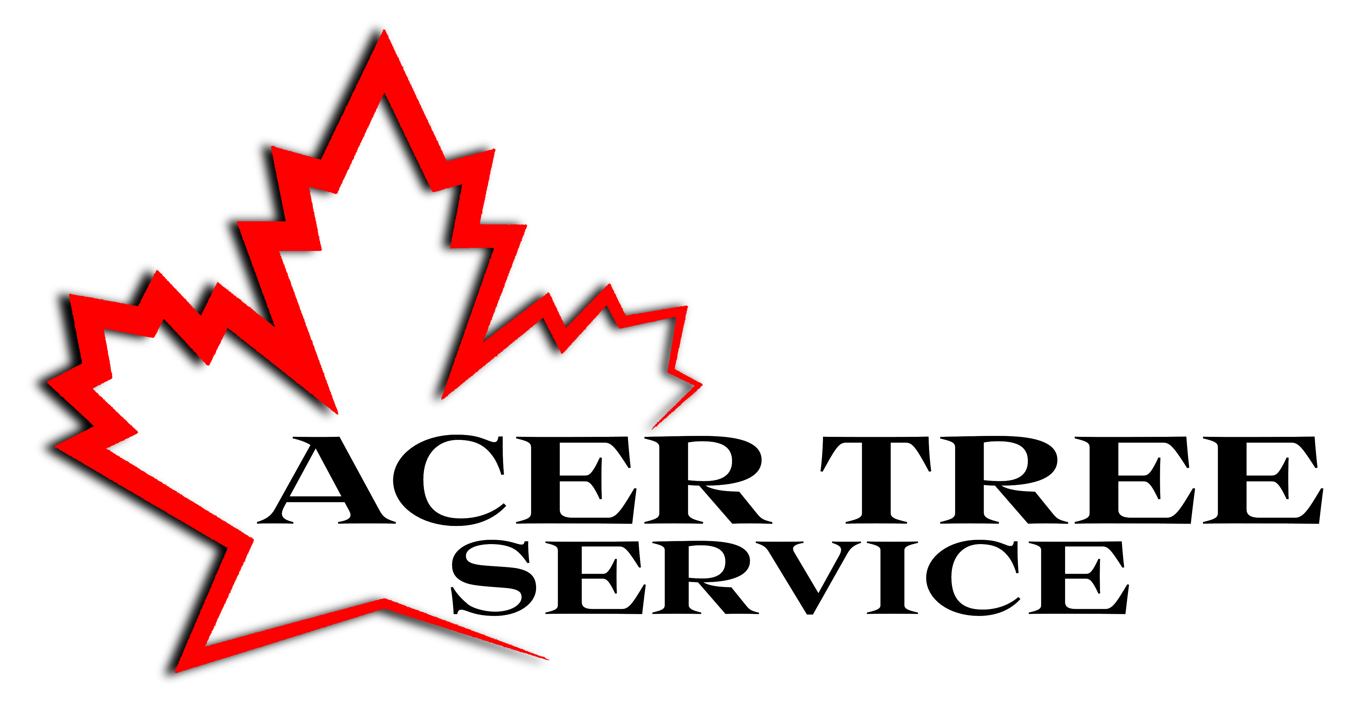 Acer Tree Service Logo