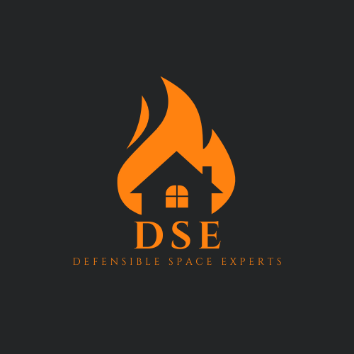 DSE DEFENSIBLE SPACE EXPERTS LLC Logo