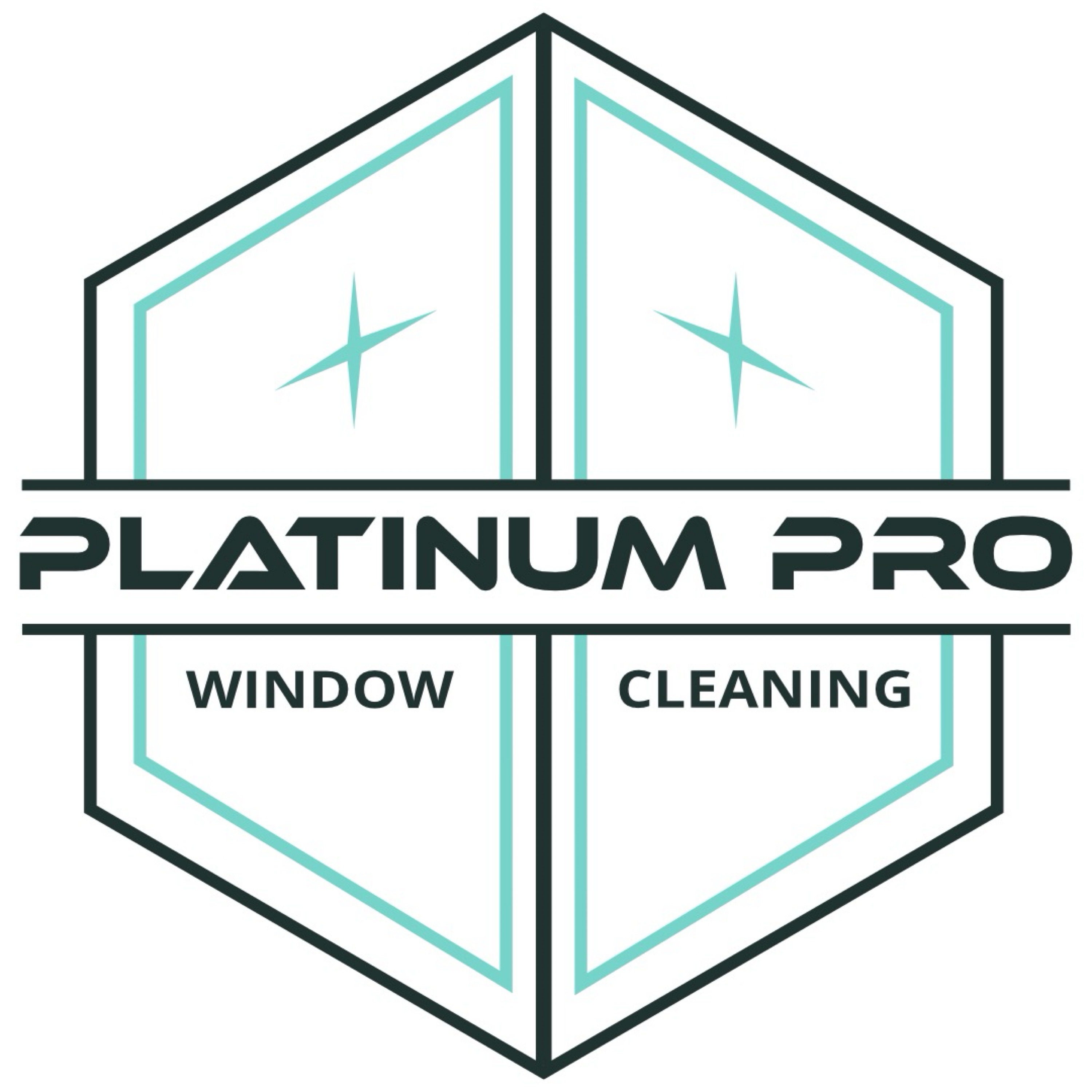 PLATINUM PRO WINDOW CLEANING LLC Logo