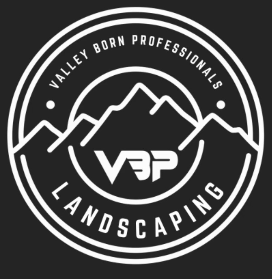 Valley Born Professionals LLC Logo