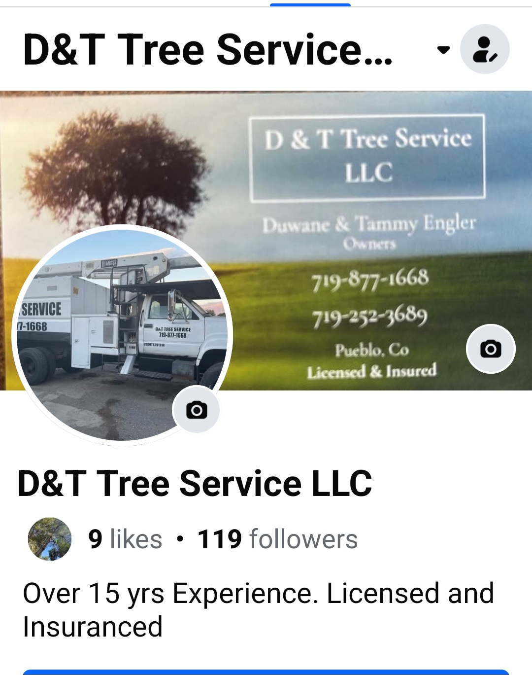 D&T Tree Service Logo