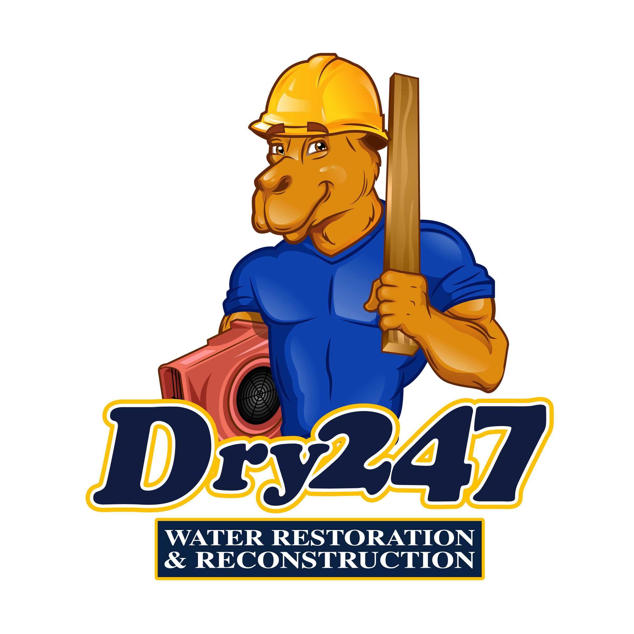 DRY 247 WATER RESTORATION, LLC. Logo