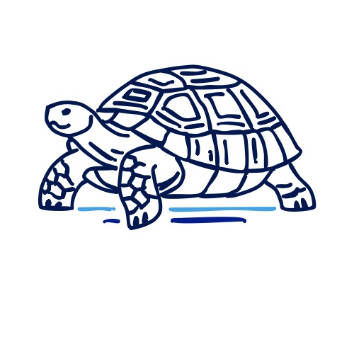 Tortuga Pools Inc Logo