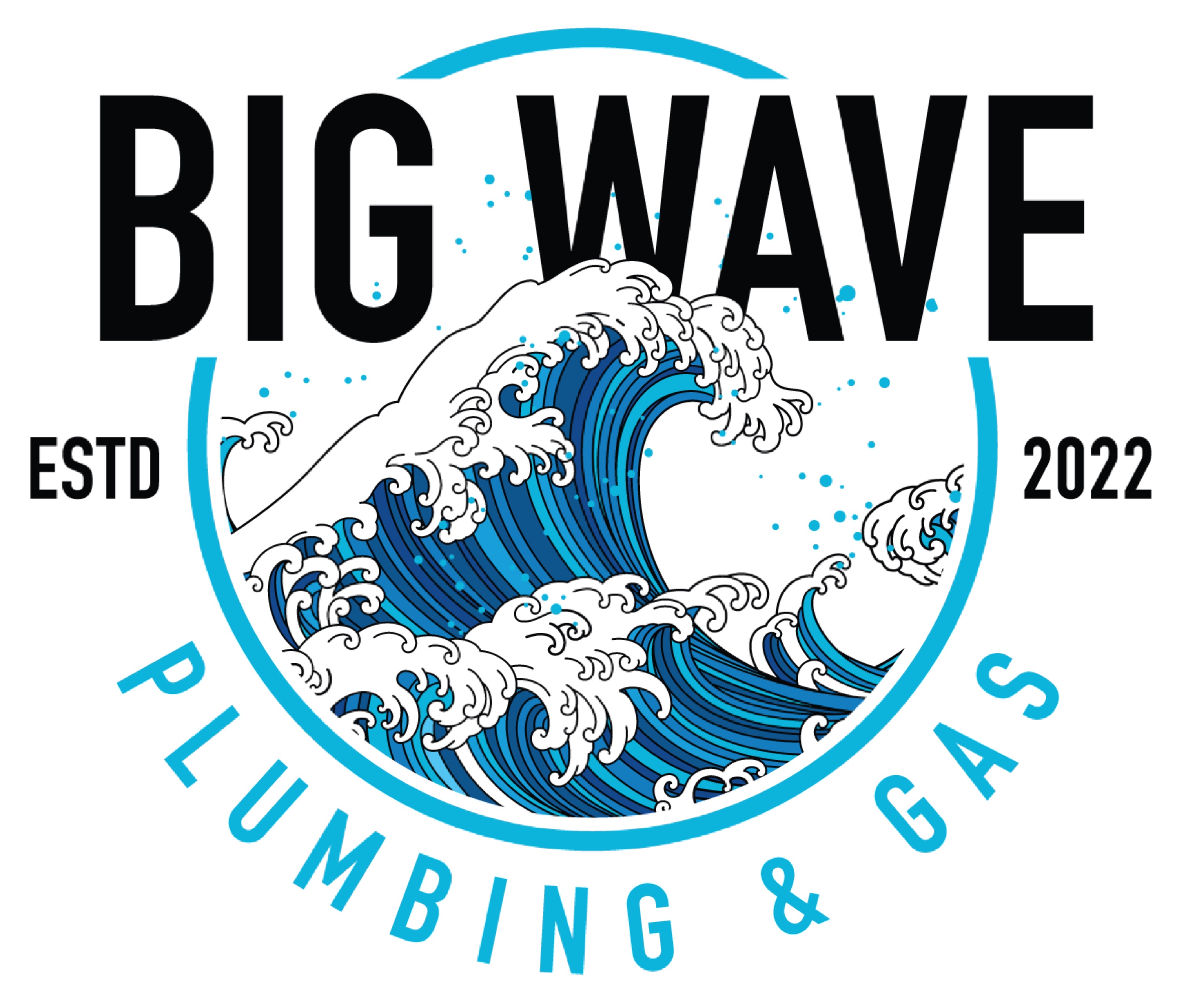 BIG WAVE PLUMBING & GAS, LLC Logo