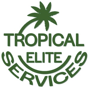 Tropical Elite Services, Inc. Logo