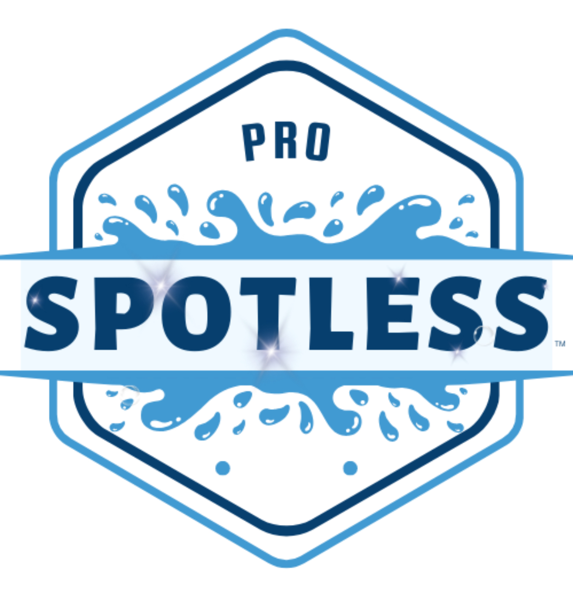 PRO SPOTLESS LLC Logo