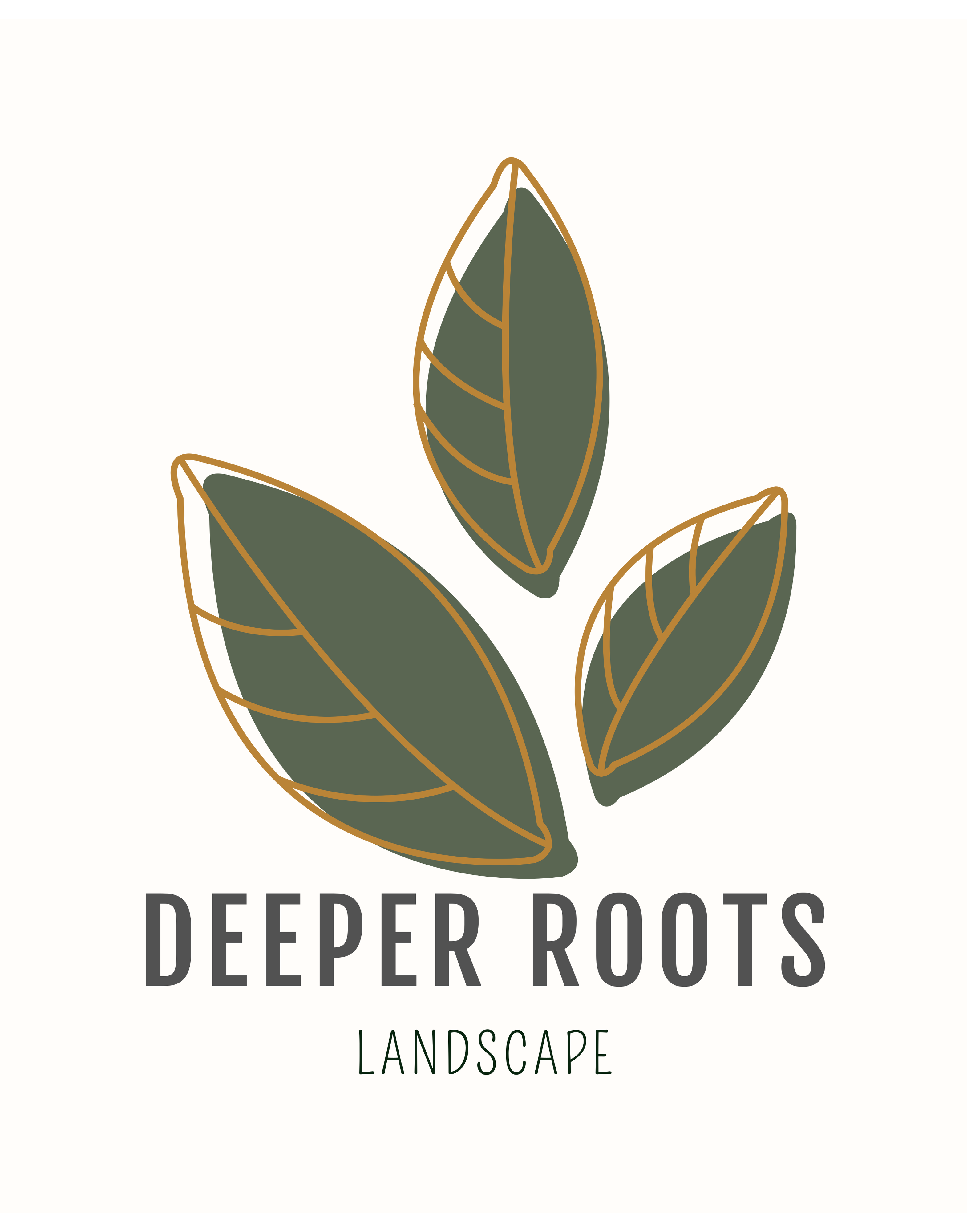 Deeper Roots Landscape LLC Logo