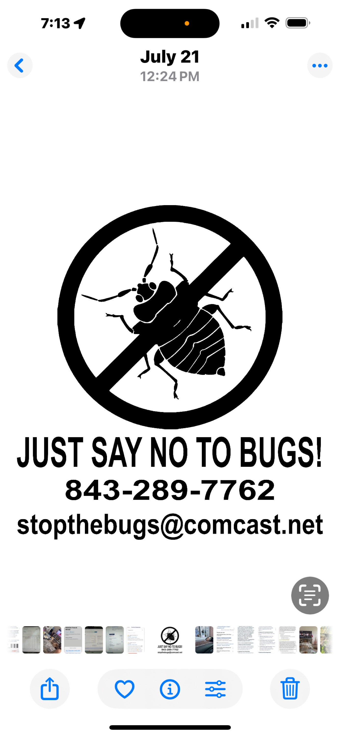 The Pest Professionals Logo