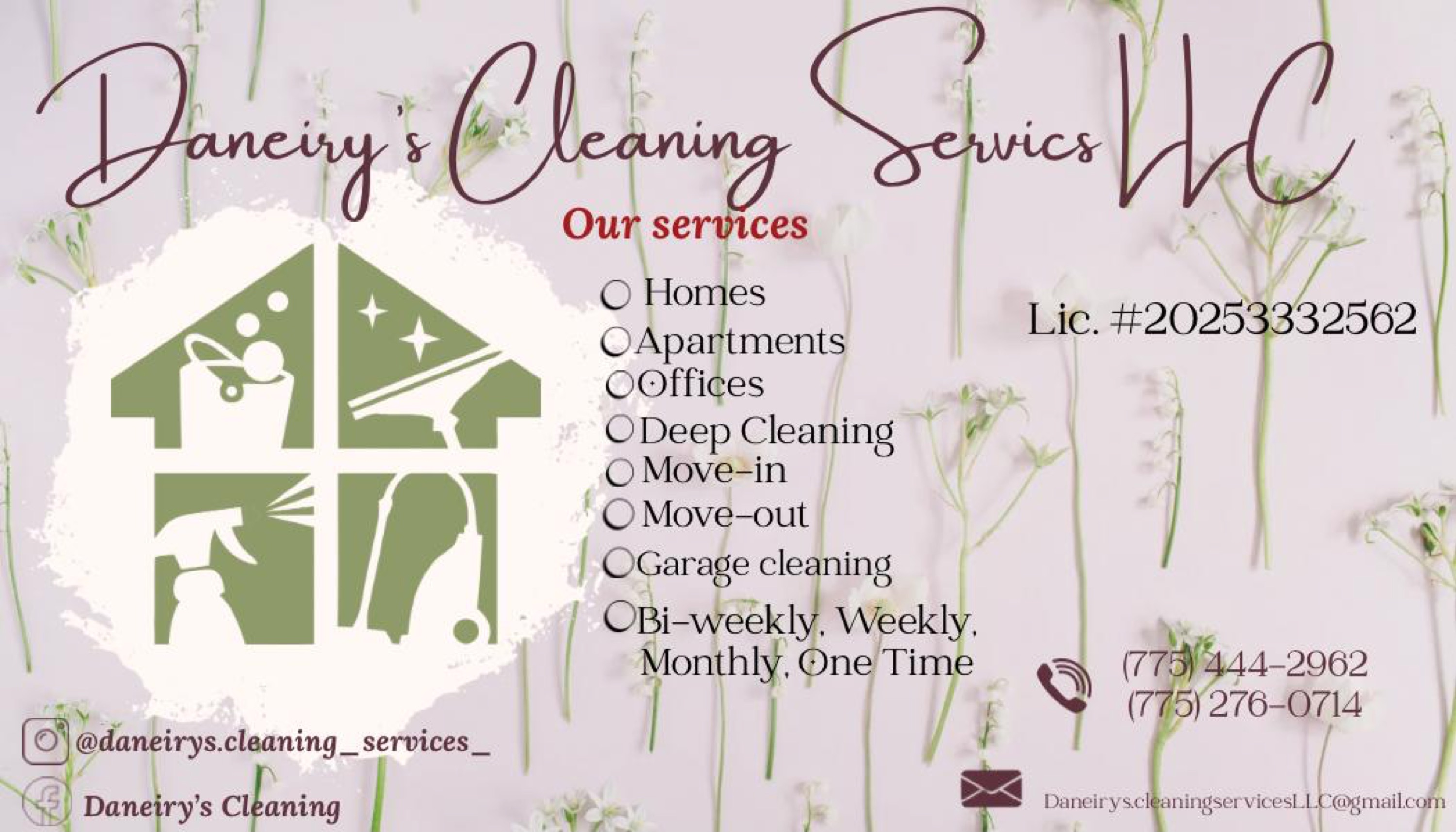 Daneiry's Cleaning Services LLC Logo