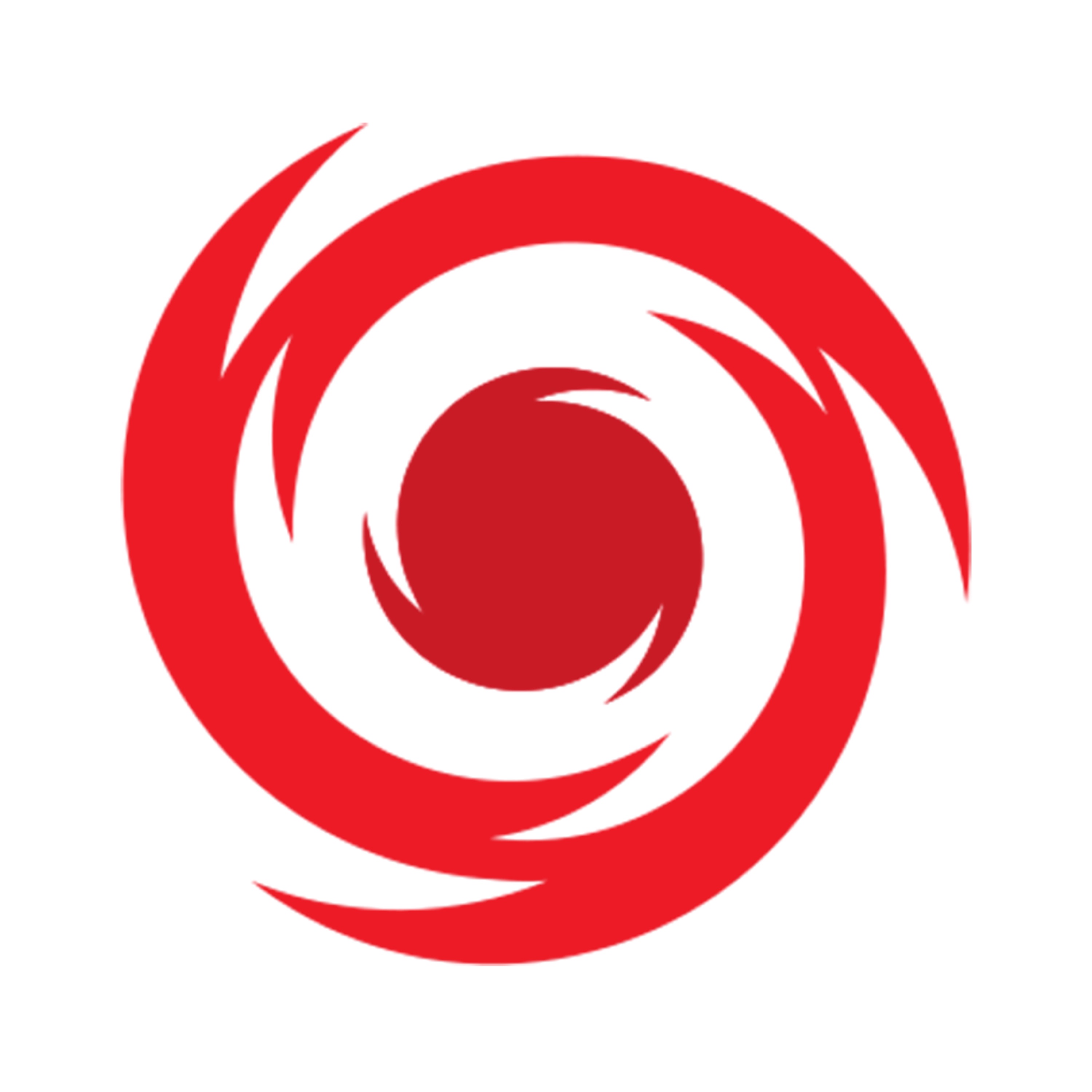 WILD ROOFING LLC Logo