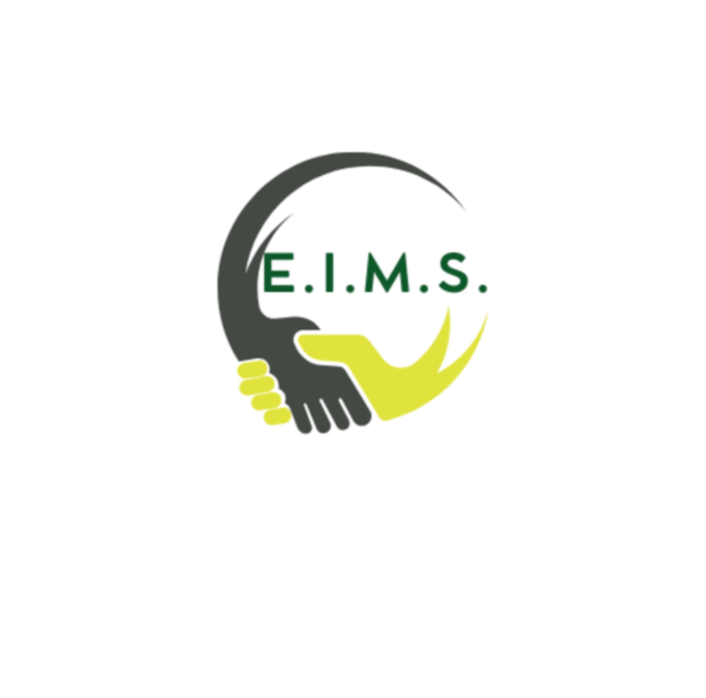 EXCELLENT INTERNATIONAL MAINTENANCE SERVICES LLC Logo