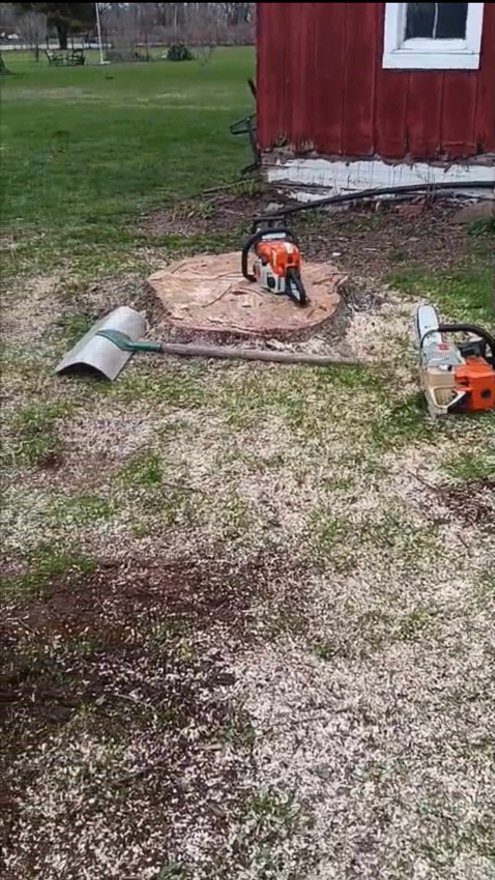 Okeli's Tree Service & more Logo